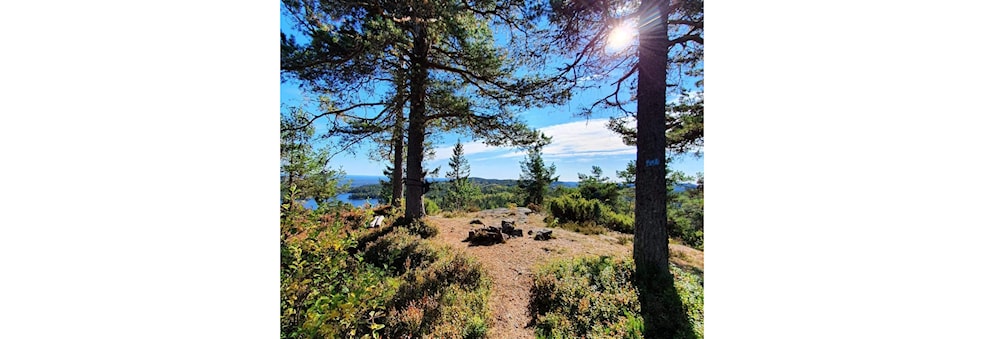 Ti på topp Vestfold 2024